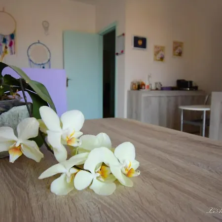 Nocleg ze śniadaniem L' Acchiappasogni